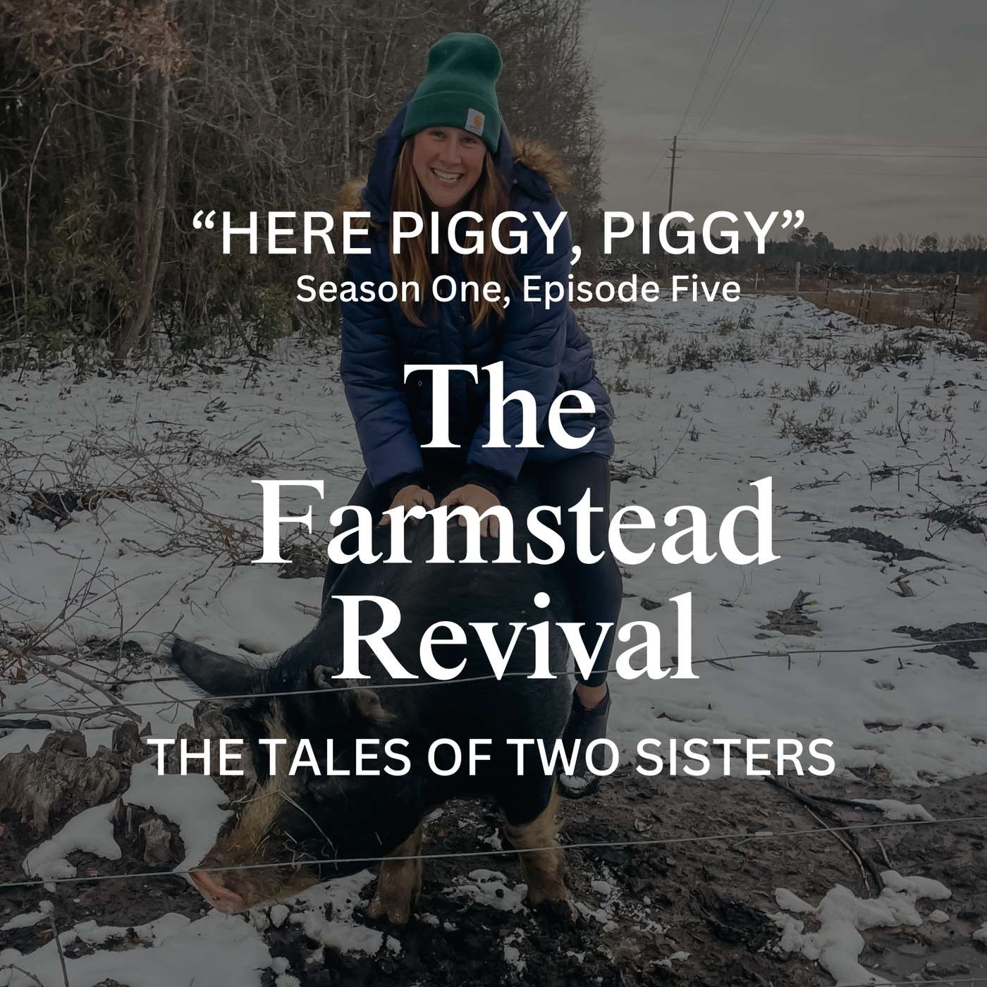 Episode #5 Here Piggy, Piggy episode artwork