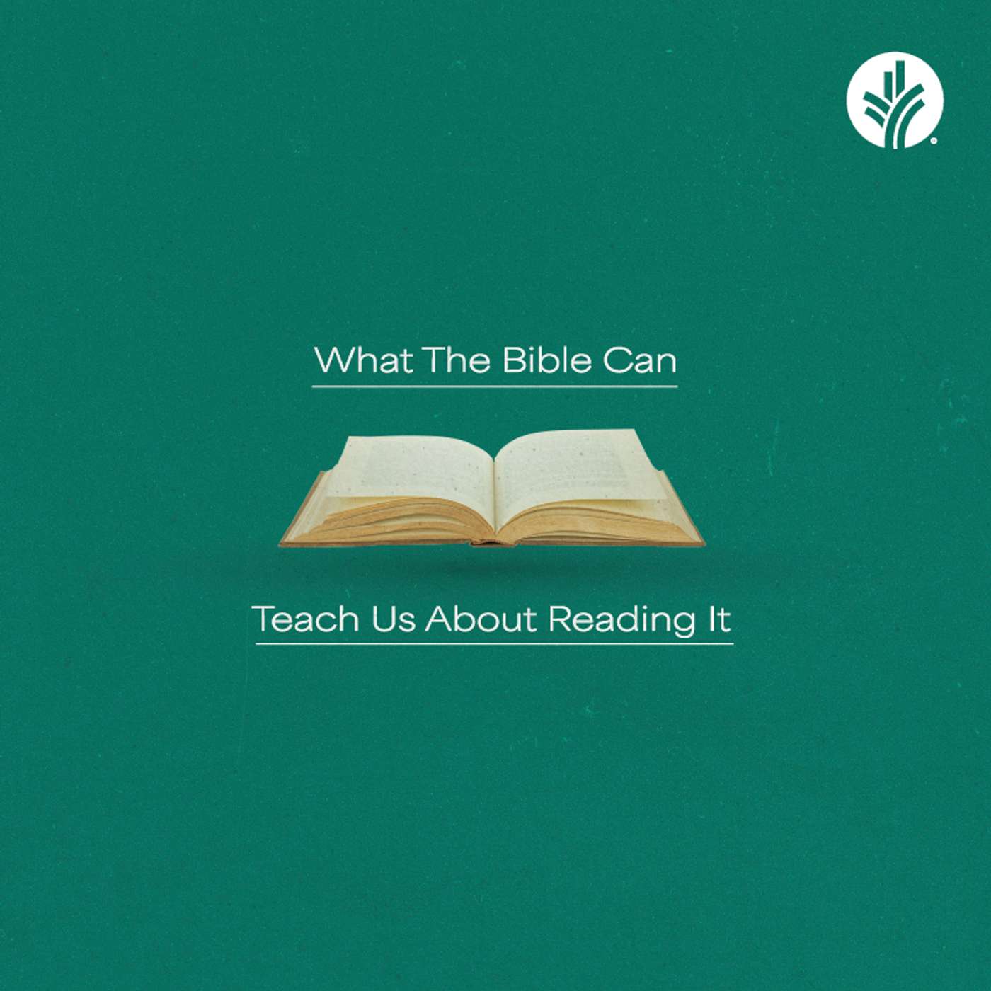 228. What the Bible Can Teach Us About Reading It | Discover the Word Podcast