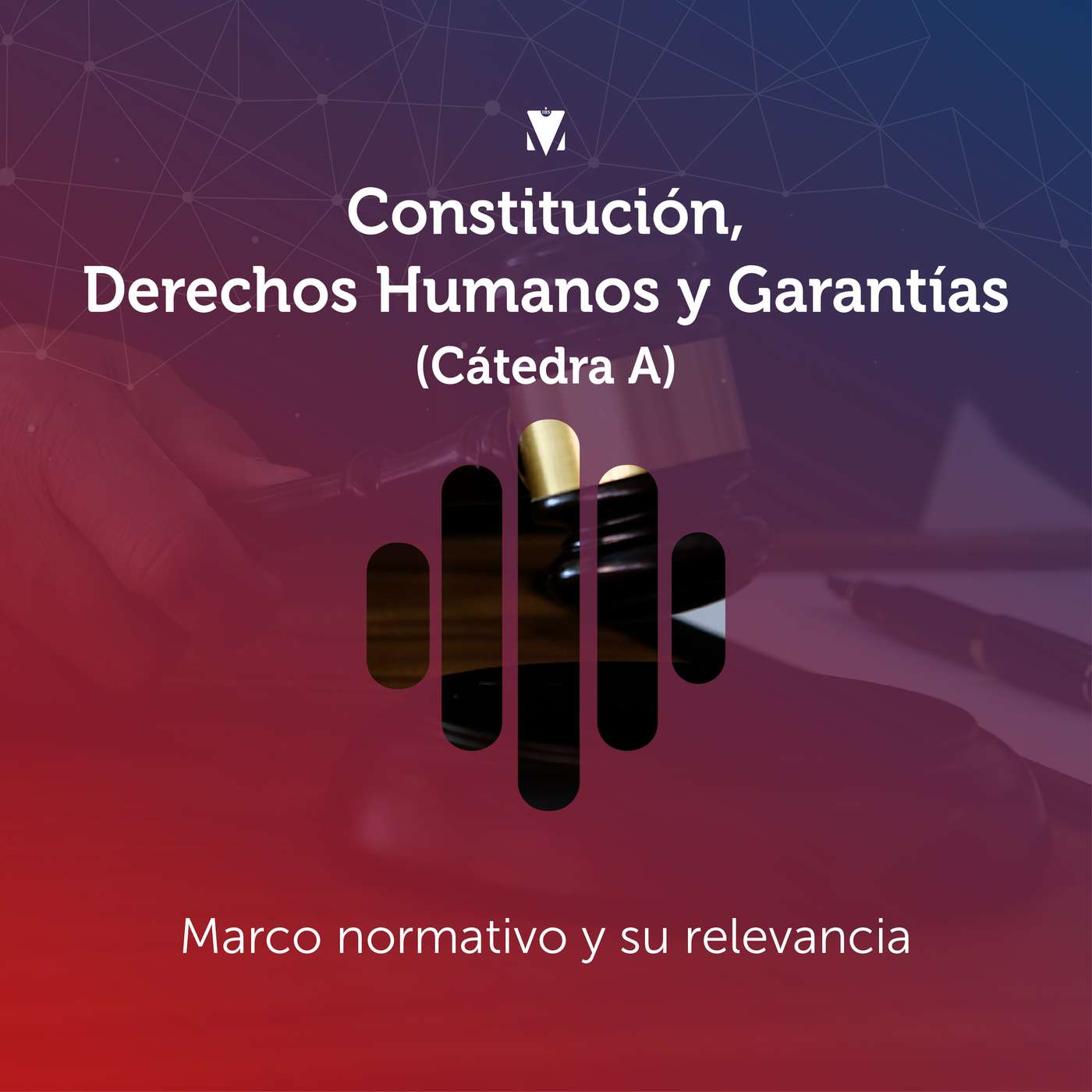 5 - CONSTITUCIÓN, DERECHOS HUMANOS Y GARANTÍAS (CÁTEDRA A): Marco normativo y su relevancia episode artwork