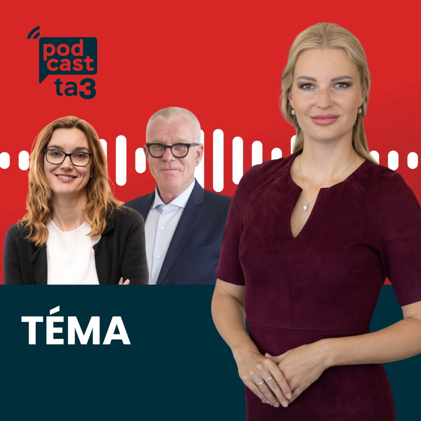 Téma: Čo nám hovoria volebné prieskumy?