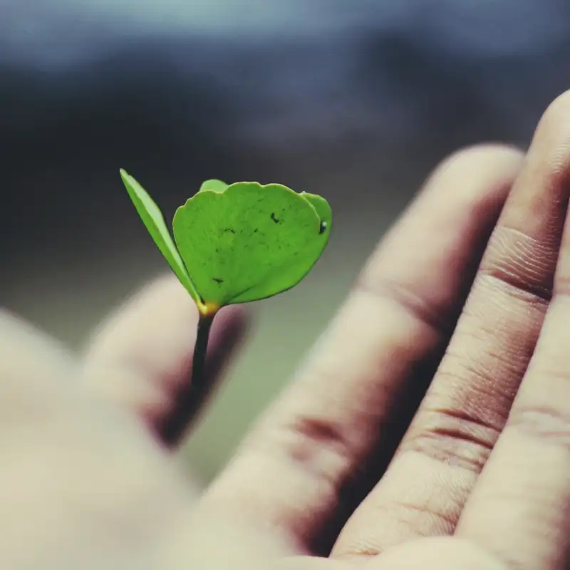 Making sense of the Trinity