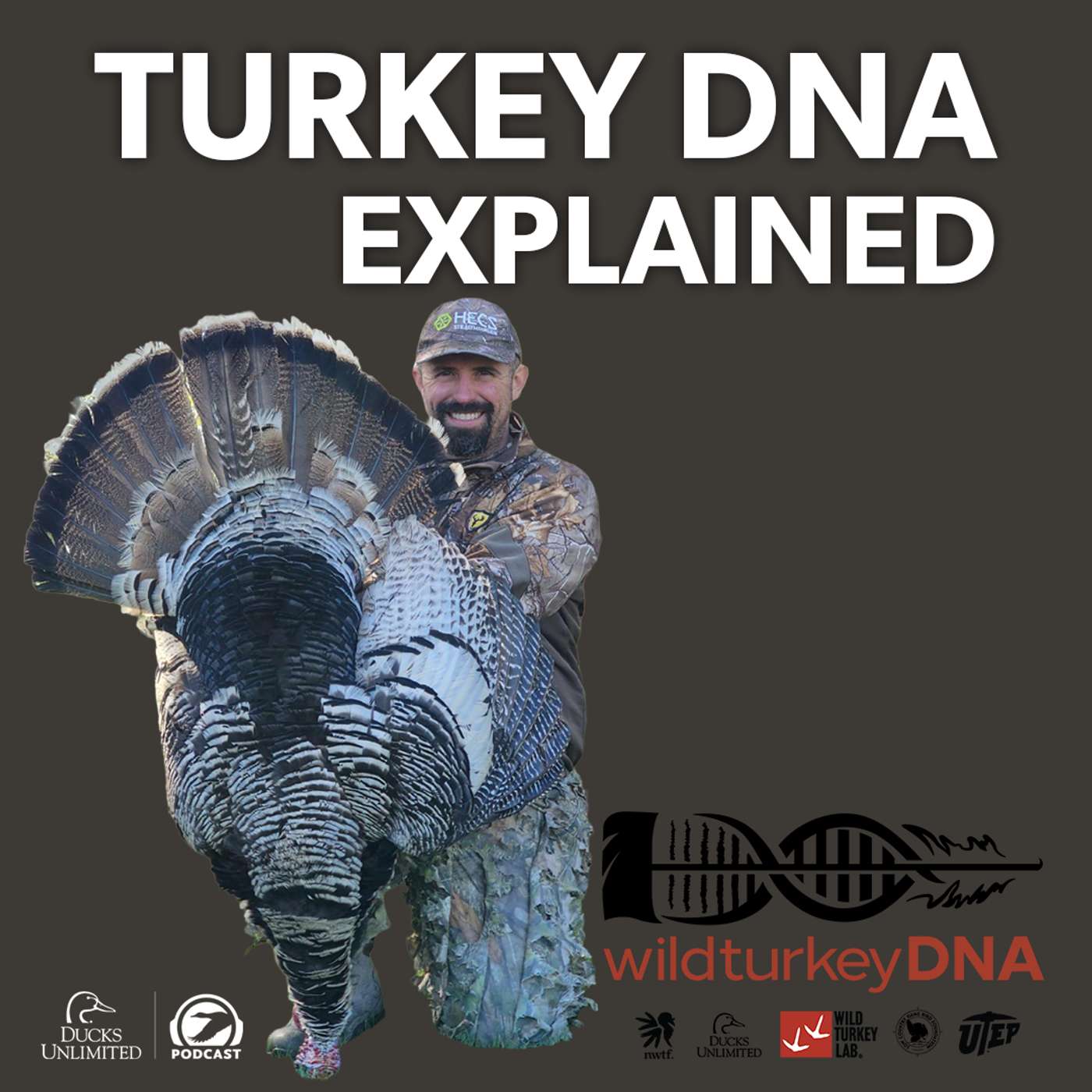 wildturkeyDNA: Year One Surprises, Odd Plumage, and Big Plans for 2026 (Ep 752)