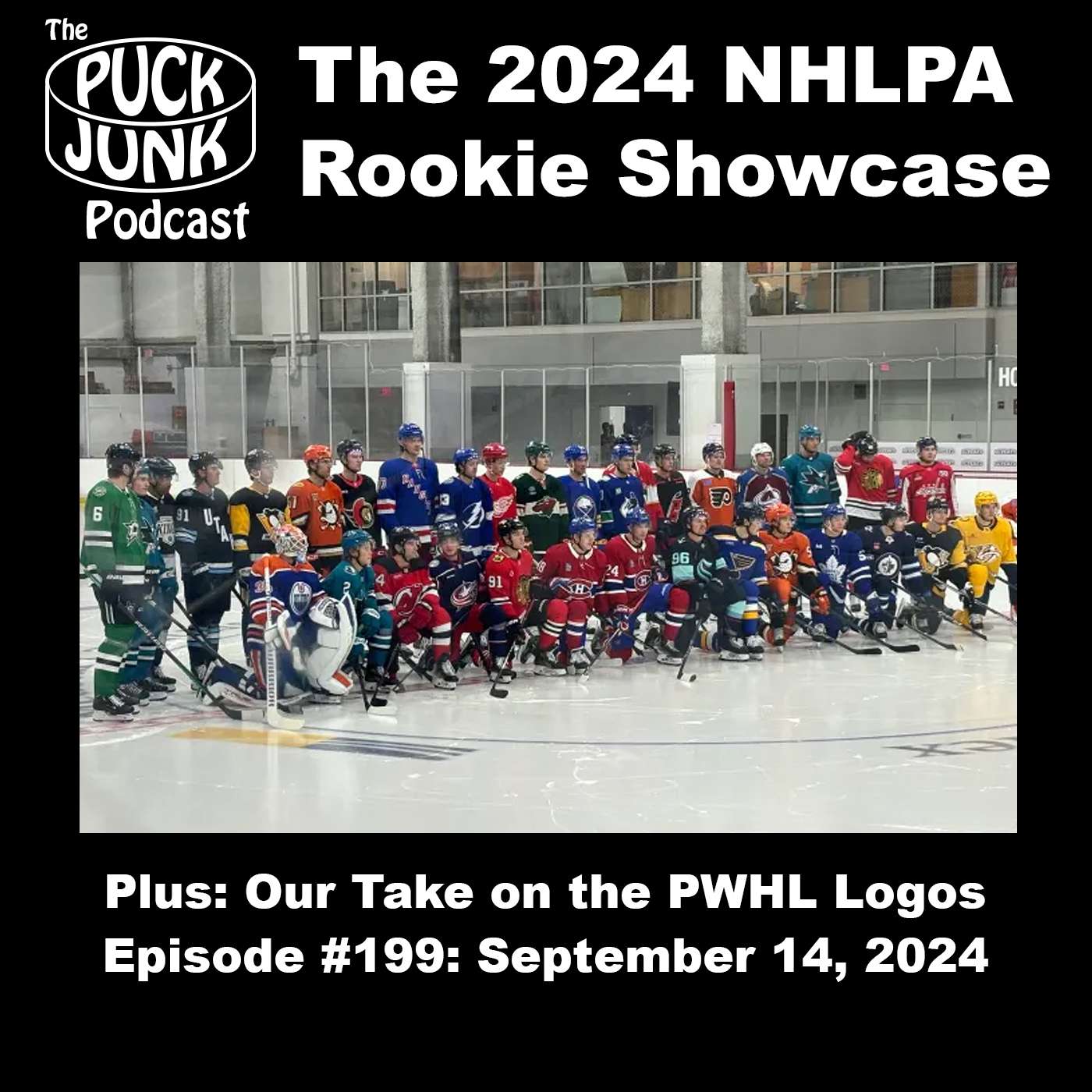 Puck Junk Hockey Podcast