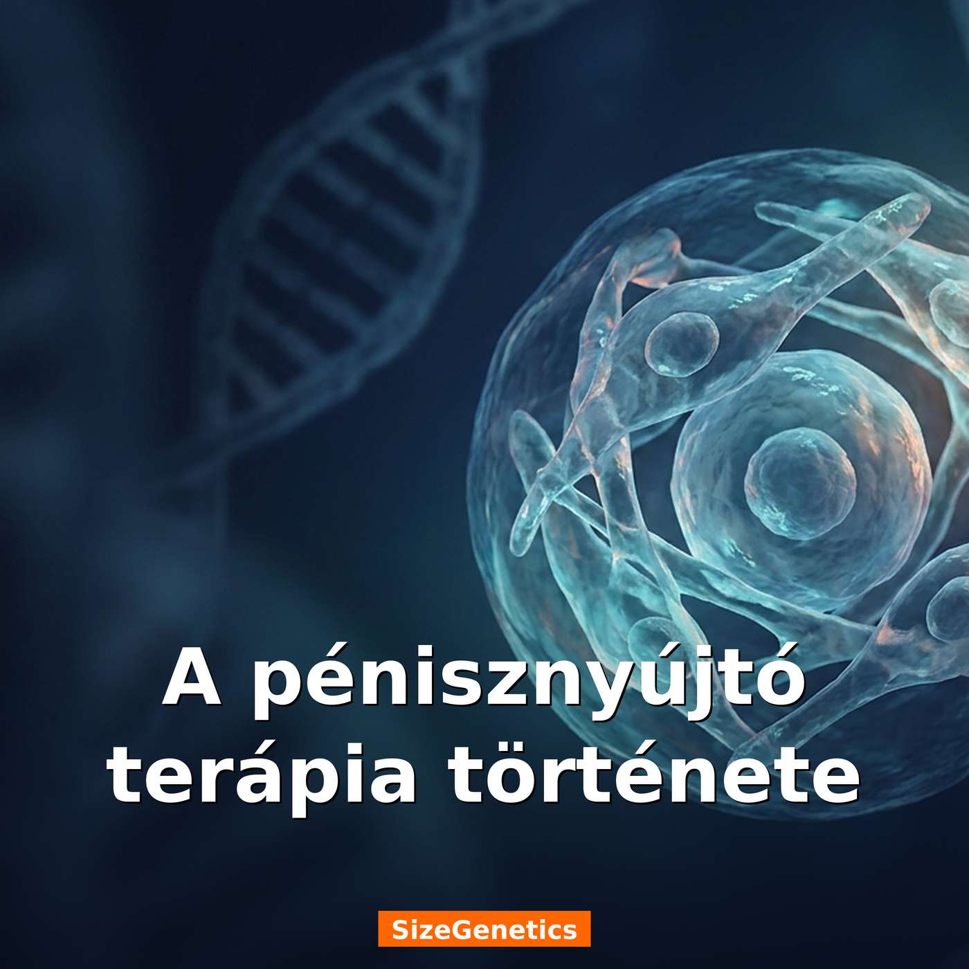A pénisznyújtó terápia története | SizeGenetics episode artwork