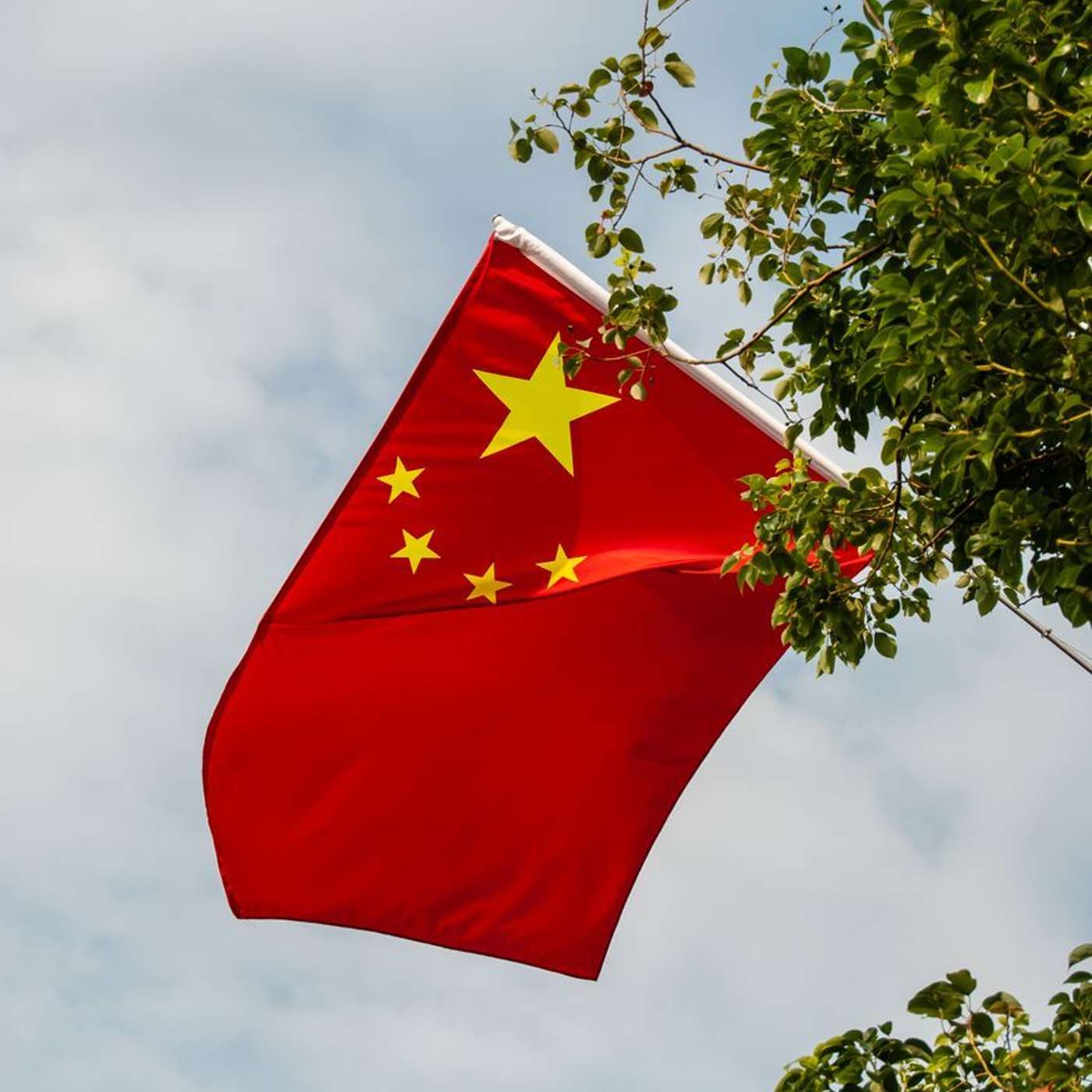 Nvidia China Chip Curbs Accelerate Domestic AI Substitution