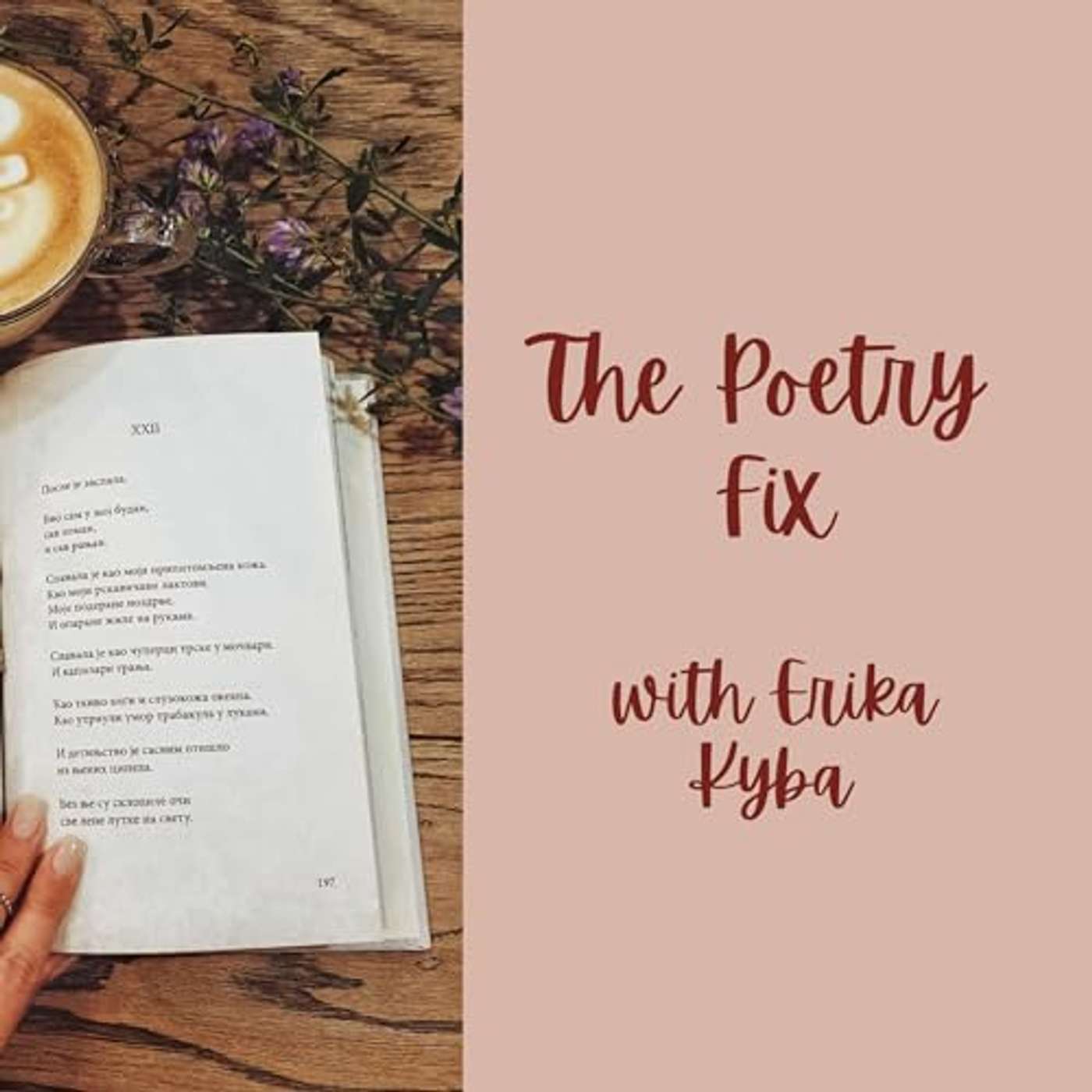 The Poetry Fix