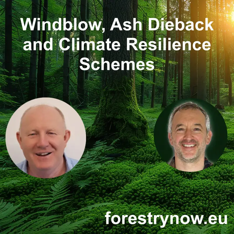 Windblow, Ash Dieback and Climate Resilience Schemes with Kevin O Connell