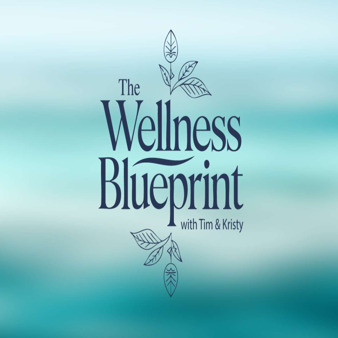 The Wellness Blueprint with Tim & Kristy