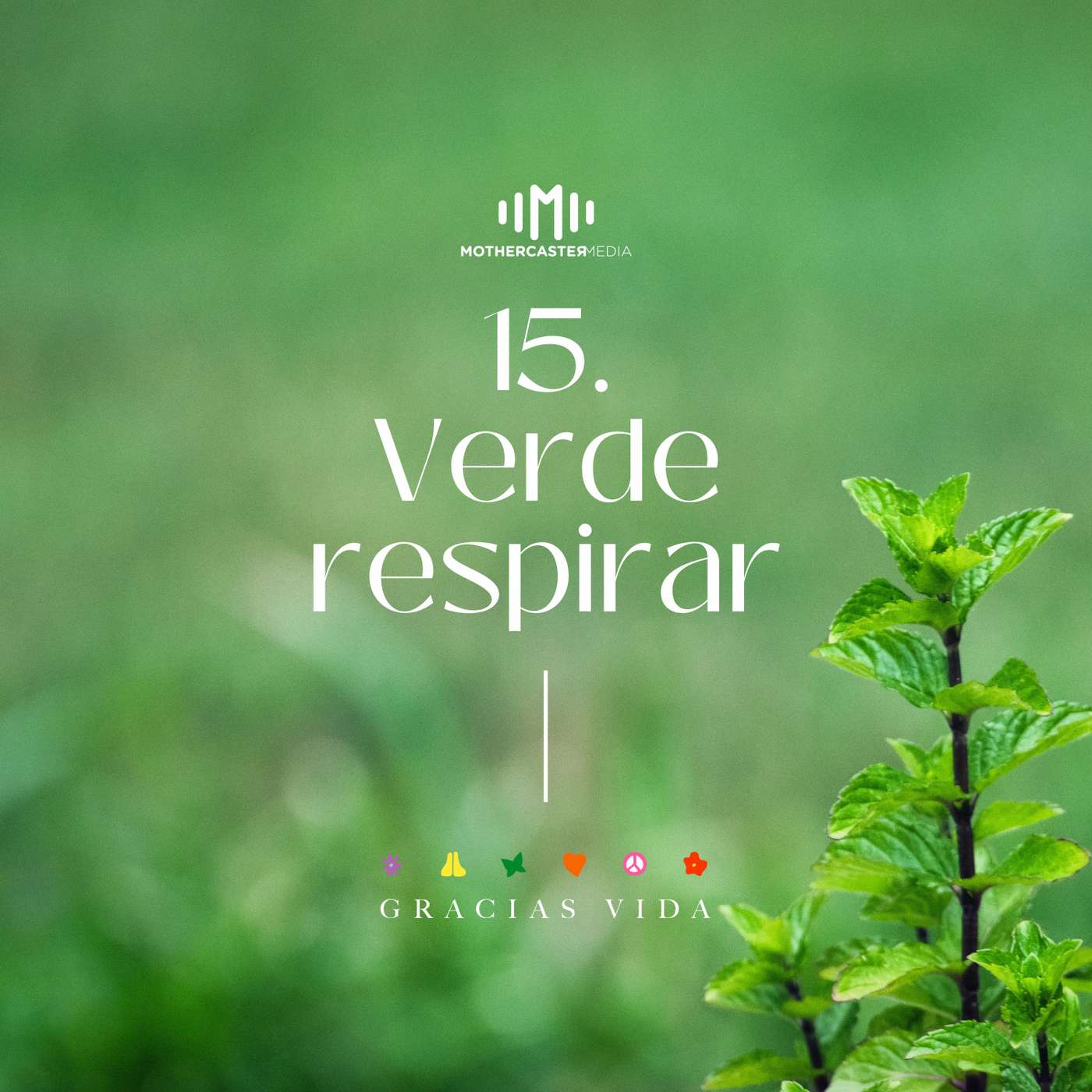 El sonido de los colores