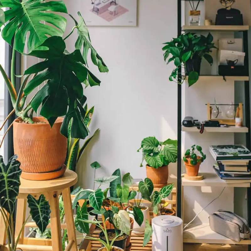 Bons hábitos: plantas e jardinagem, em inglês!