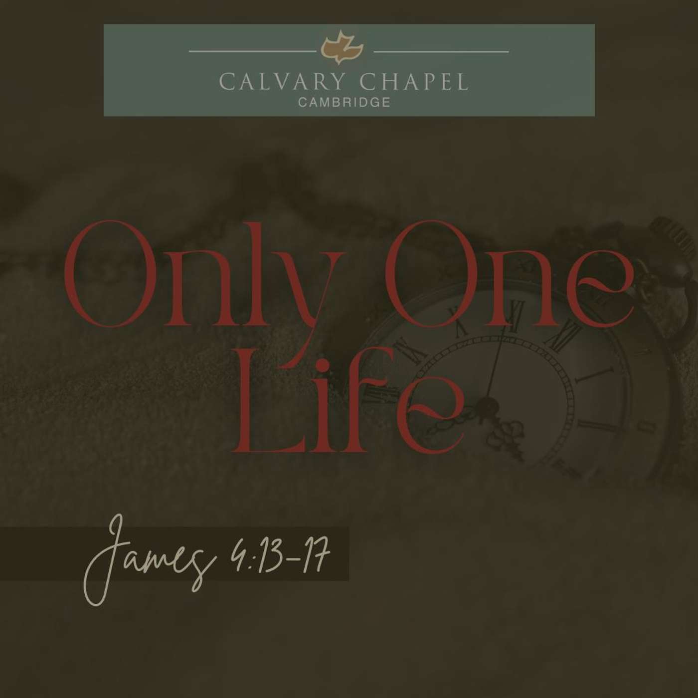 Only One Life episode artwork