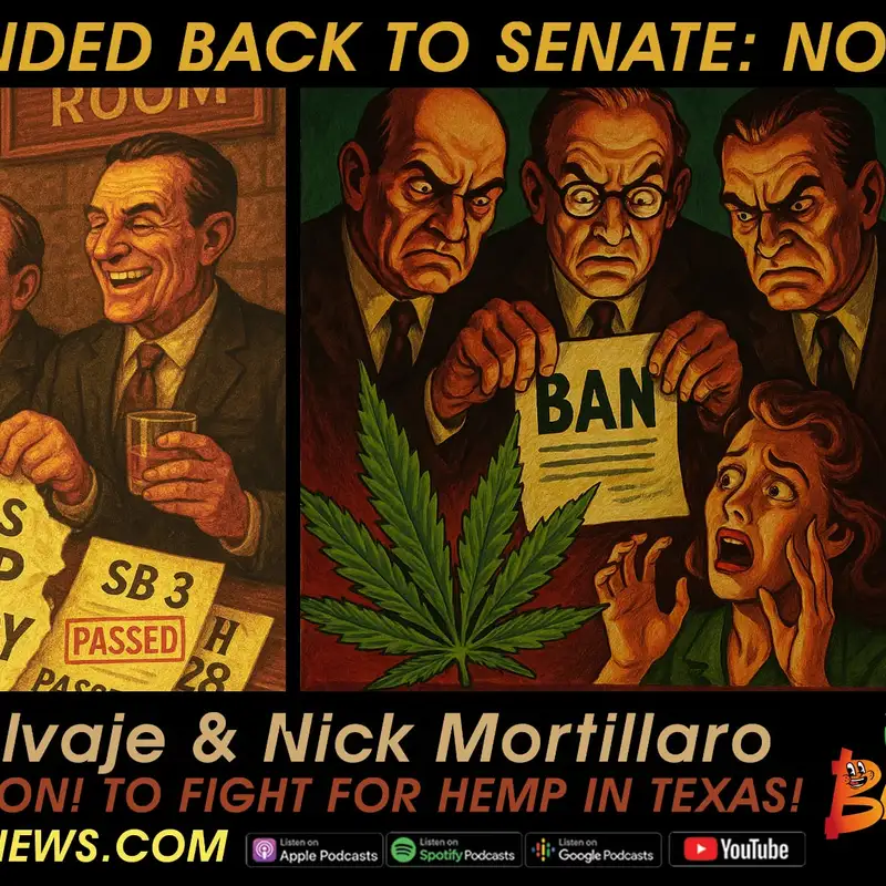 Ep. 215 - Is HB-28 now SB-3?  