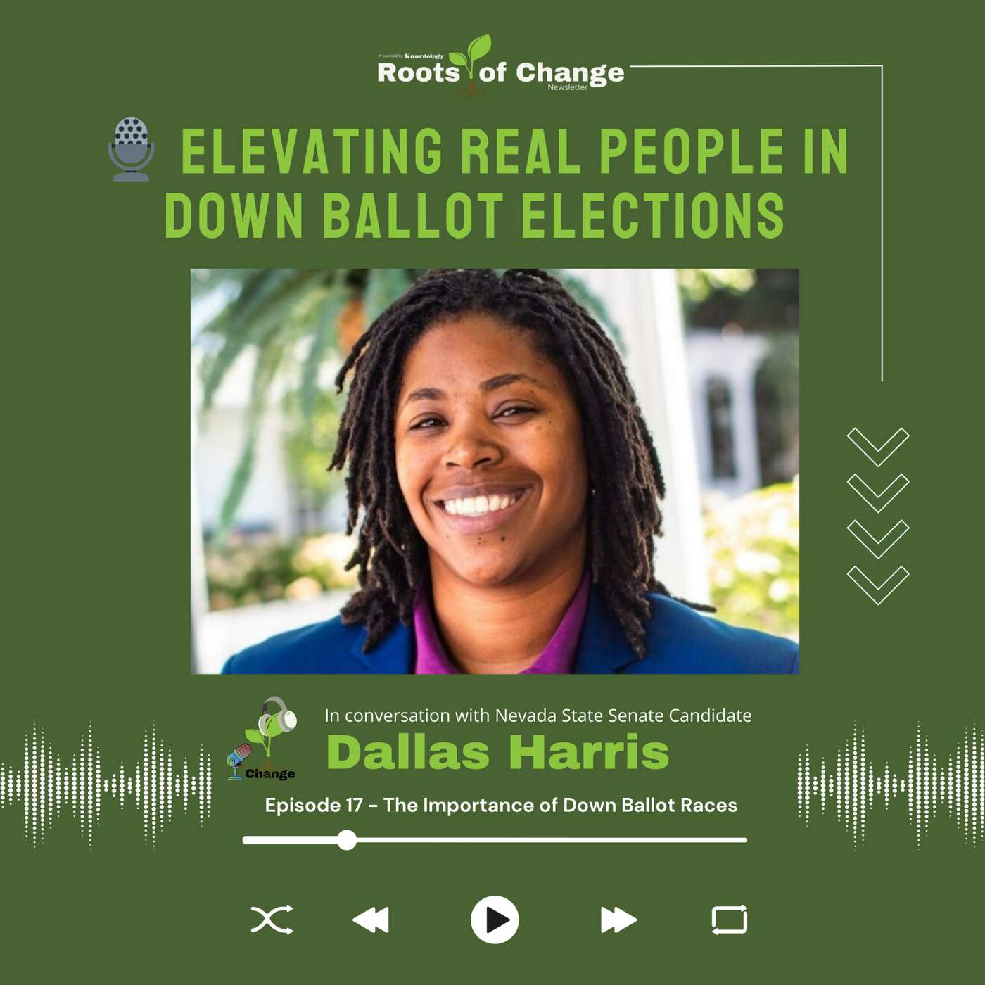 Elevating Real People in Down Ballot Elections episode artwork
