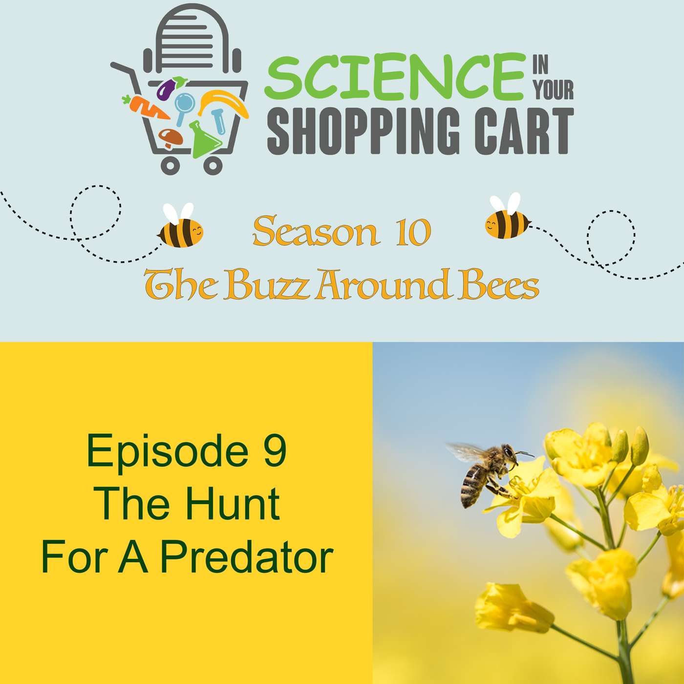 Season 10: The Buzz Around Bees | Episode 9: The Hunt For A Predator
