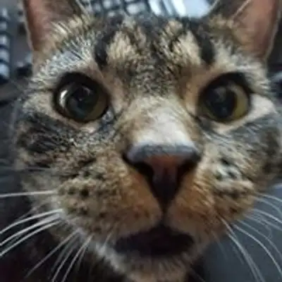image of podcast supporter