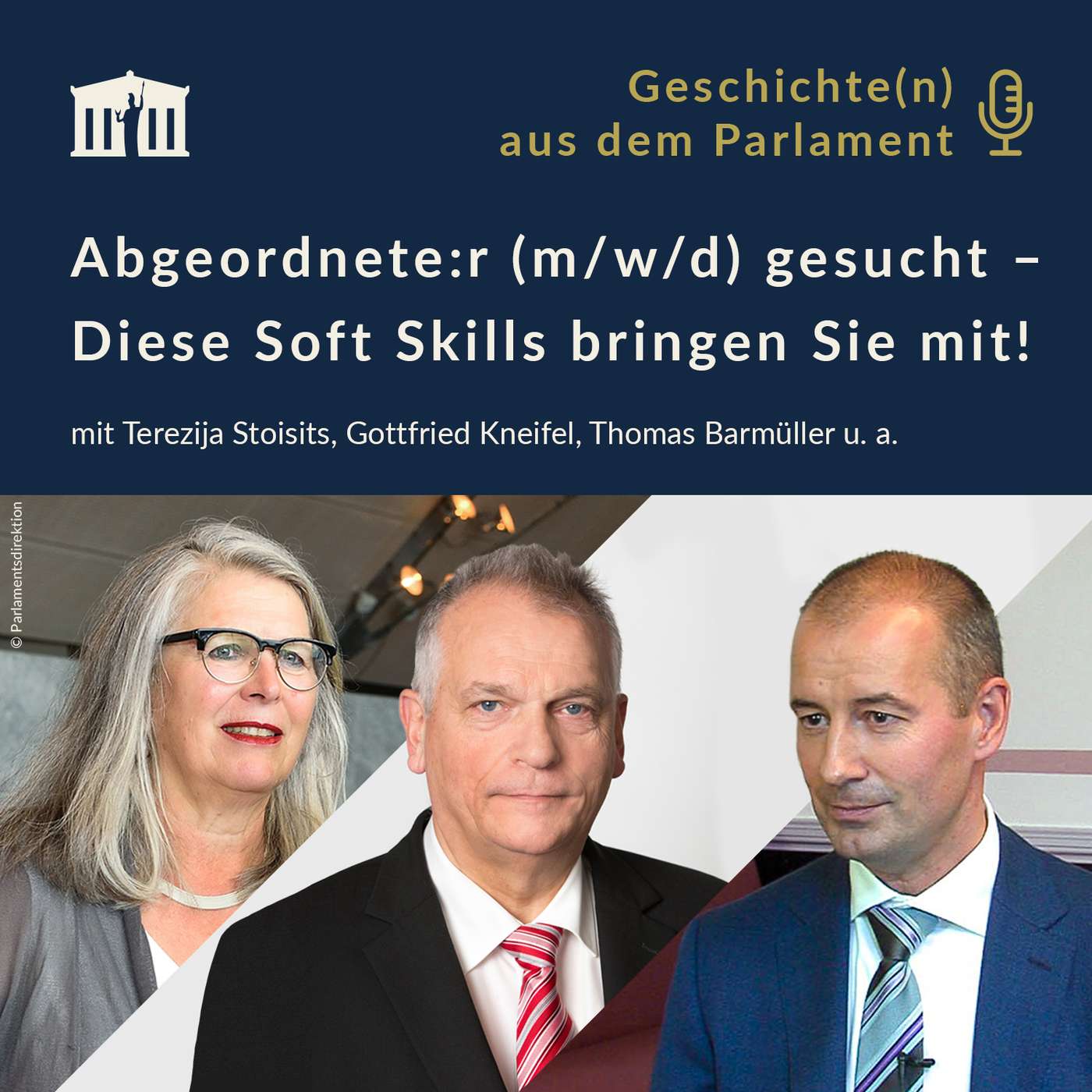 Abgeordnete:r (m/w/d) gesucht – Diese Soft Skills bringen Sie mit! episode artwork