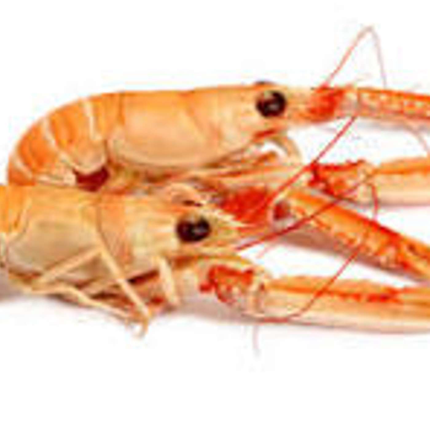 Salade de langoustines à la vinaigrette à l’huile de cameline episode artwork