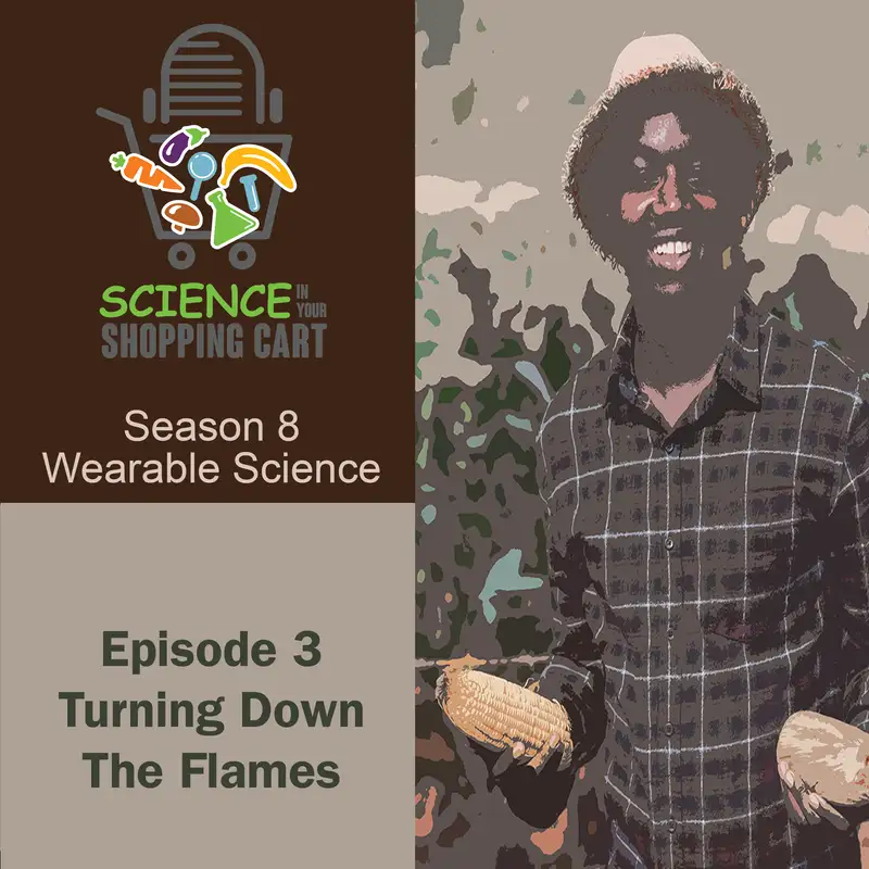  Season 8: Wearable Science | Episode 3: Turning Down the Flames