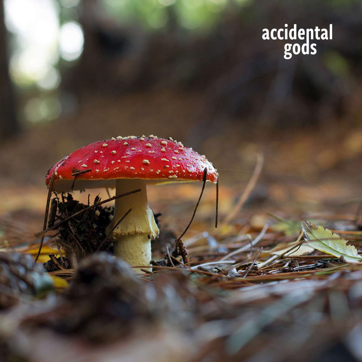 Hagitude: Paving the way to empowered elderhood with Sharon Blackie