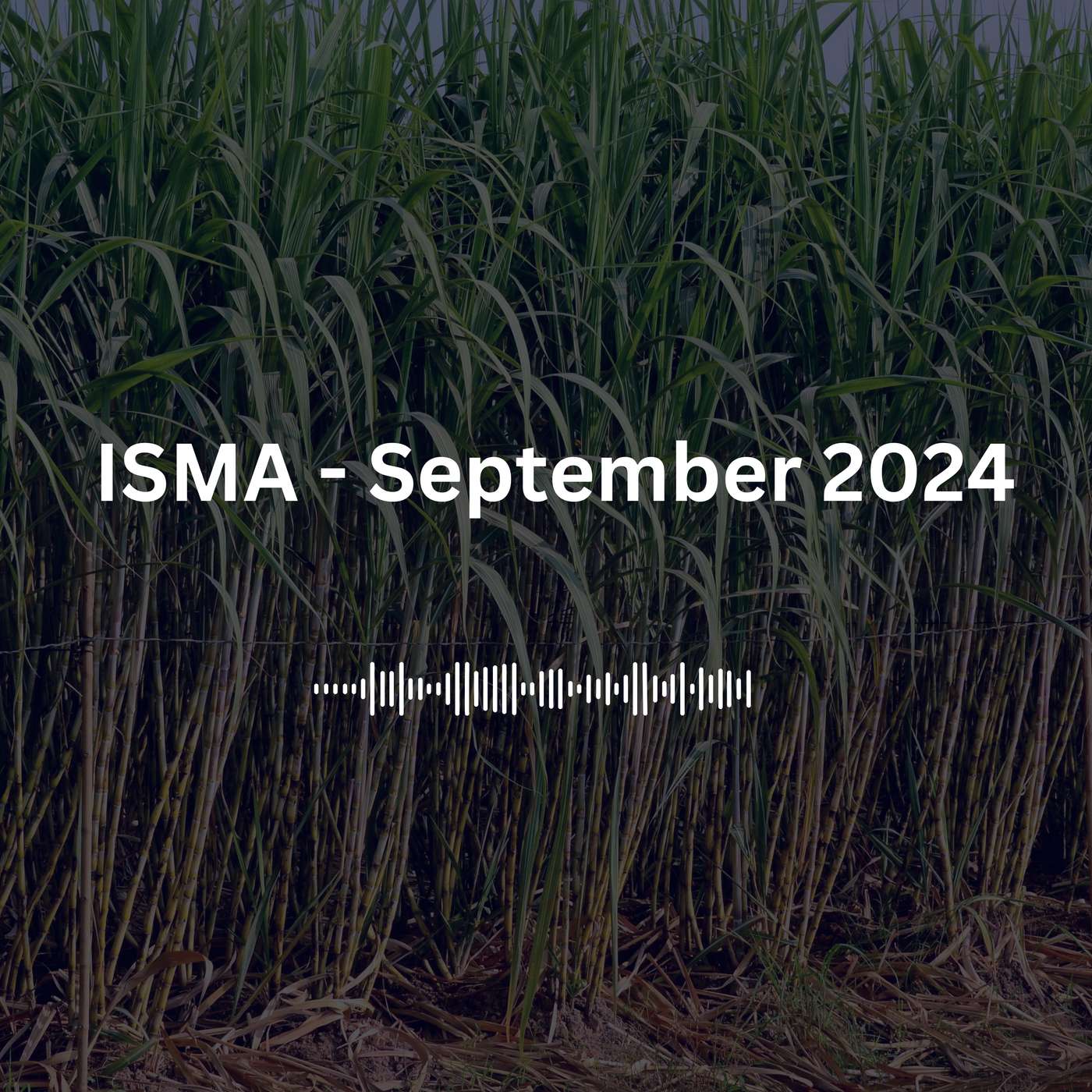 CropGPT - Podcast for Commodities