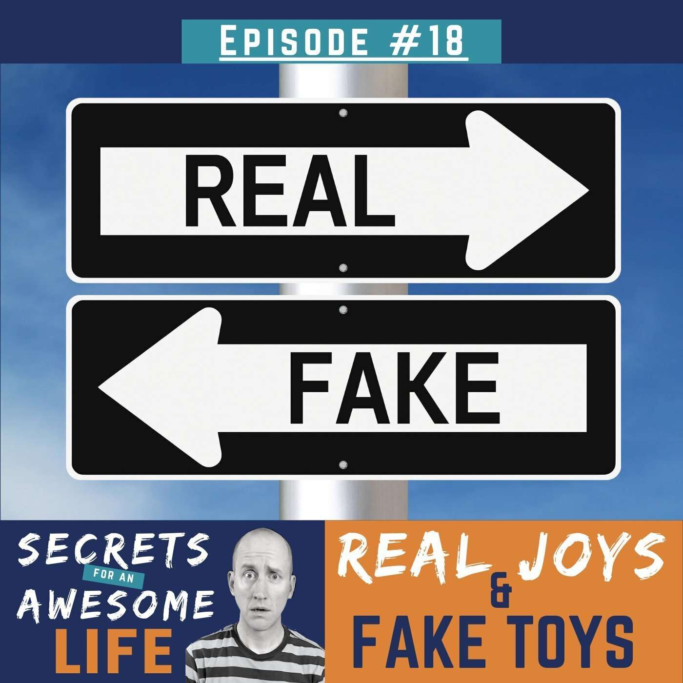 Real Joys & Fake Toys episode artwork