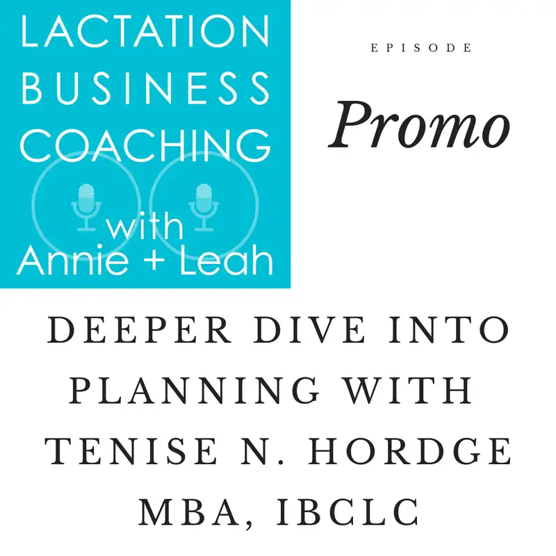 Promo | Deeper Dive into Planning with Tenise N. Hordge MBA, IBCLC