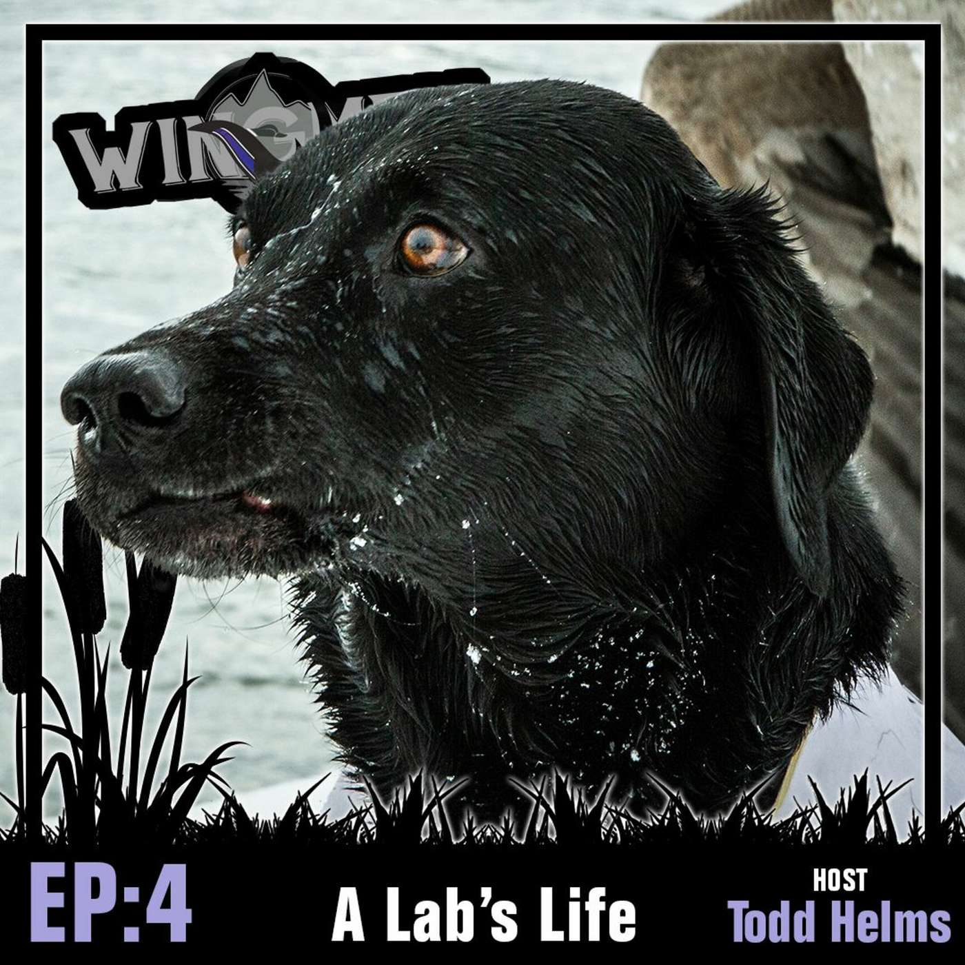 Episode: 4 - A Lab's Tale episode artwork