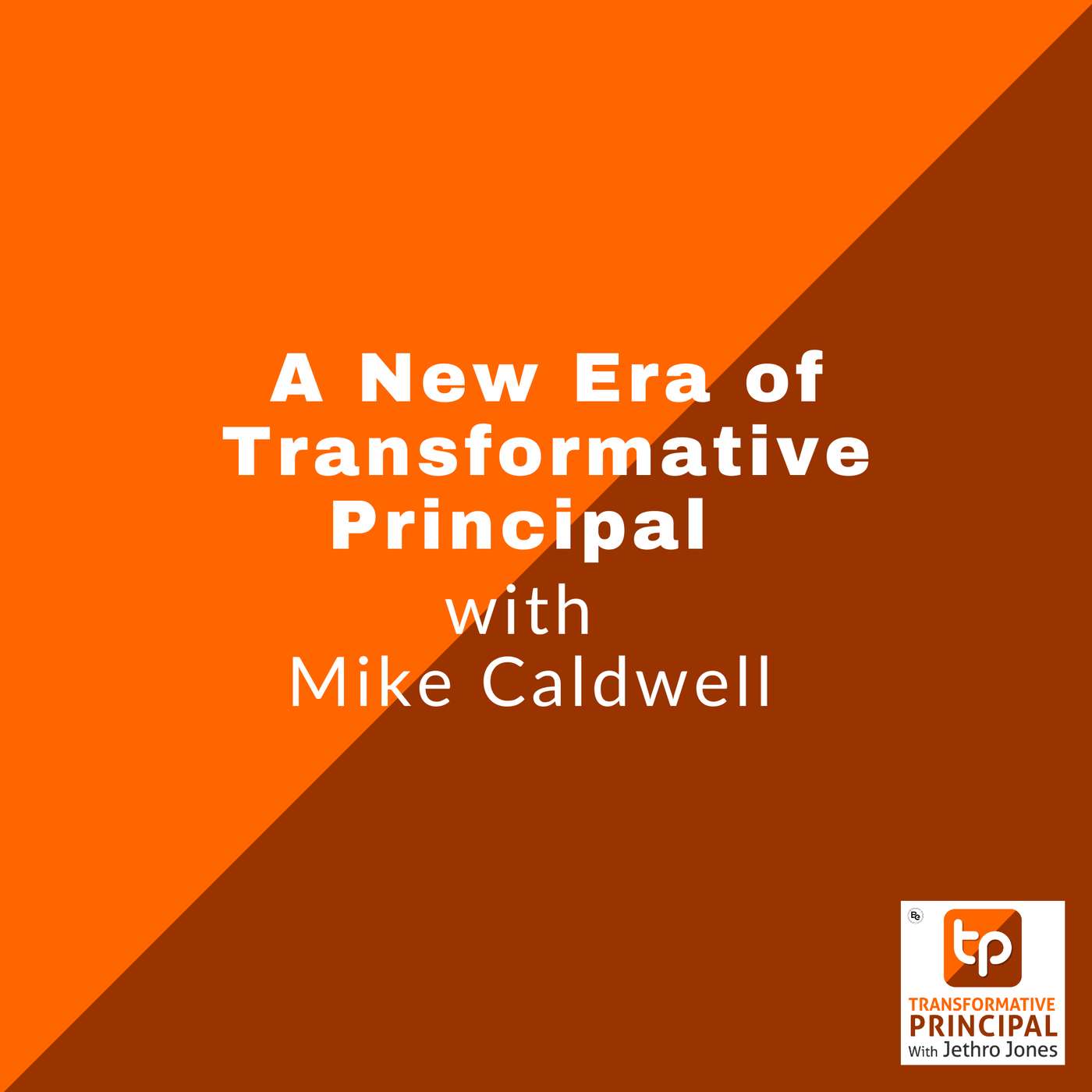 Transformative Principal