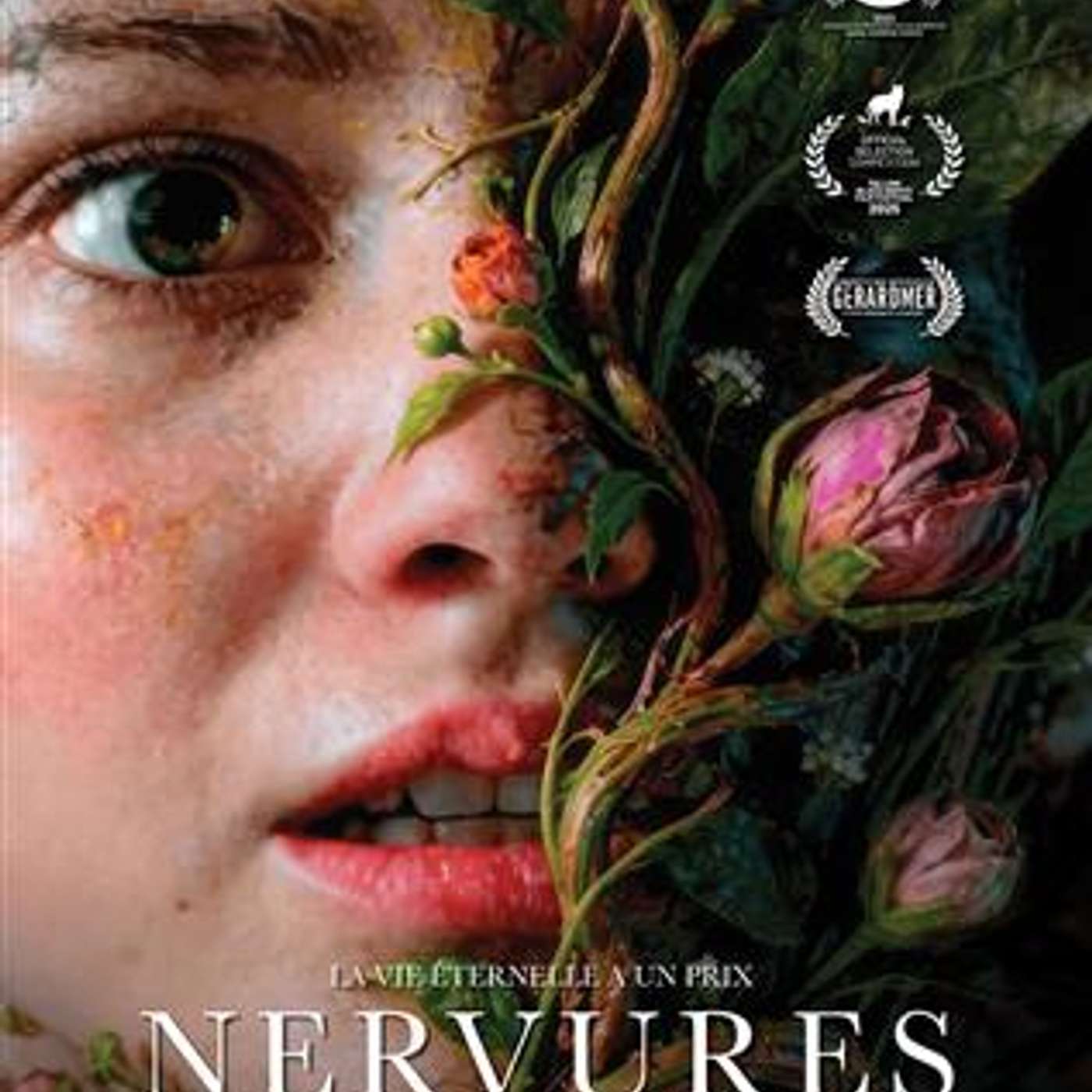 Rembobinage #216: Nervures