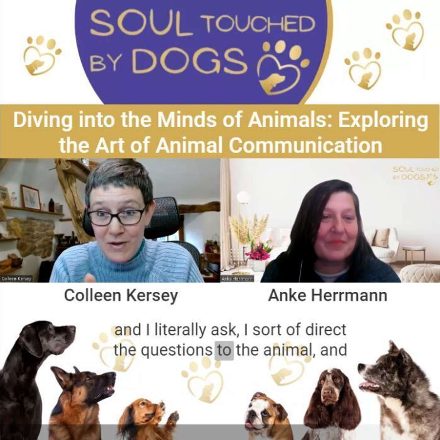 Colleen Kersey - Diving into the Minds of Animals: Exploring the Art of Animal Communication