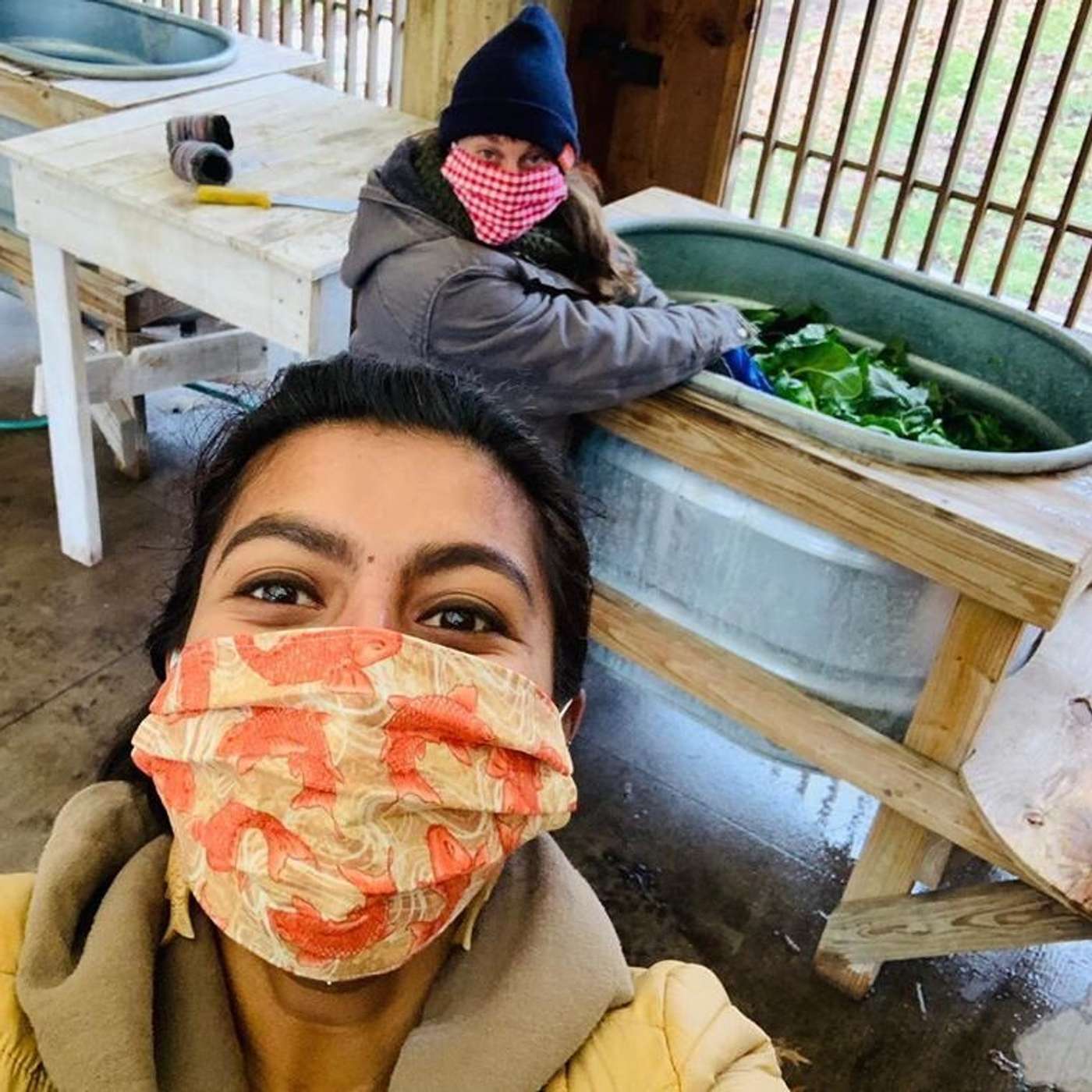 The Table Underground