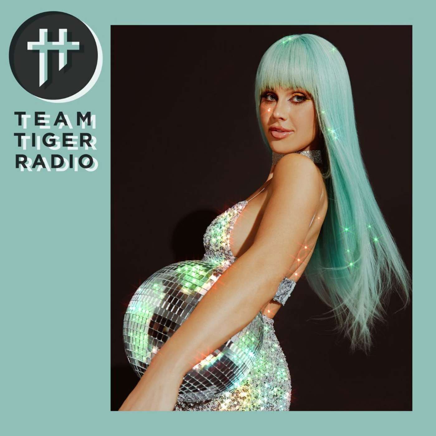 Team Tiger Radio #195 episode artwork