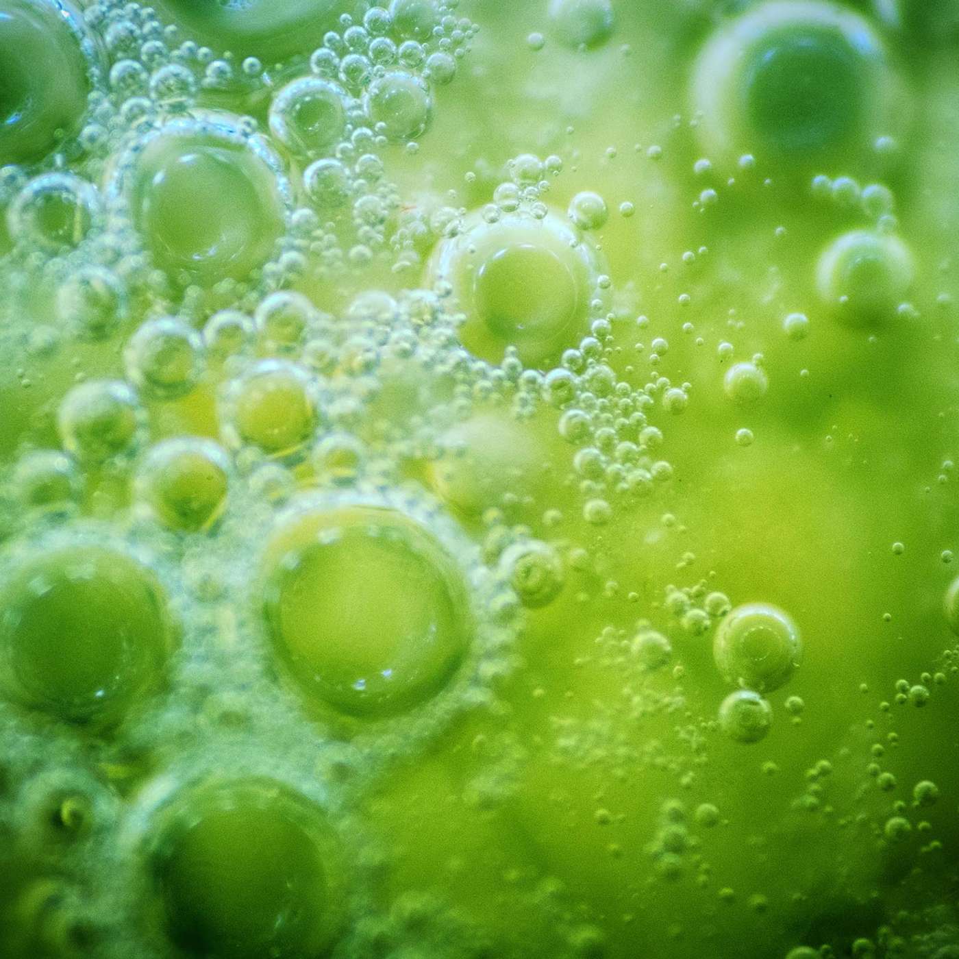 Study Reveals Underground Microbial Life, UCSF Identifies Alzheimer's Therapy Target, FDA Approves Lung Cancer Therapy, Light Therapy Targets Cancer Effectively, and more...