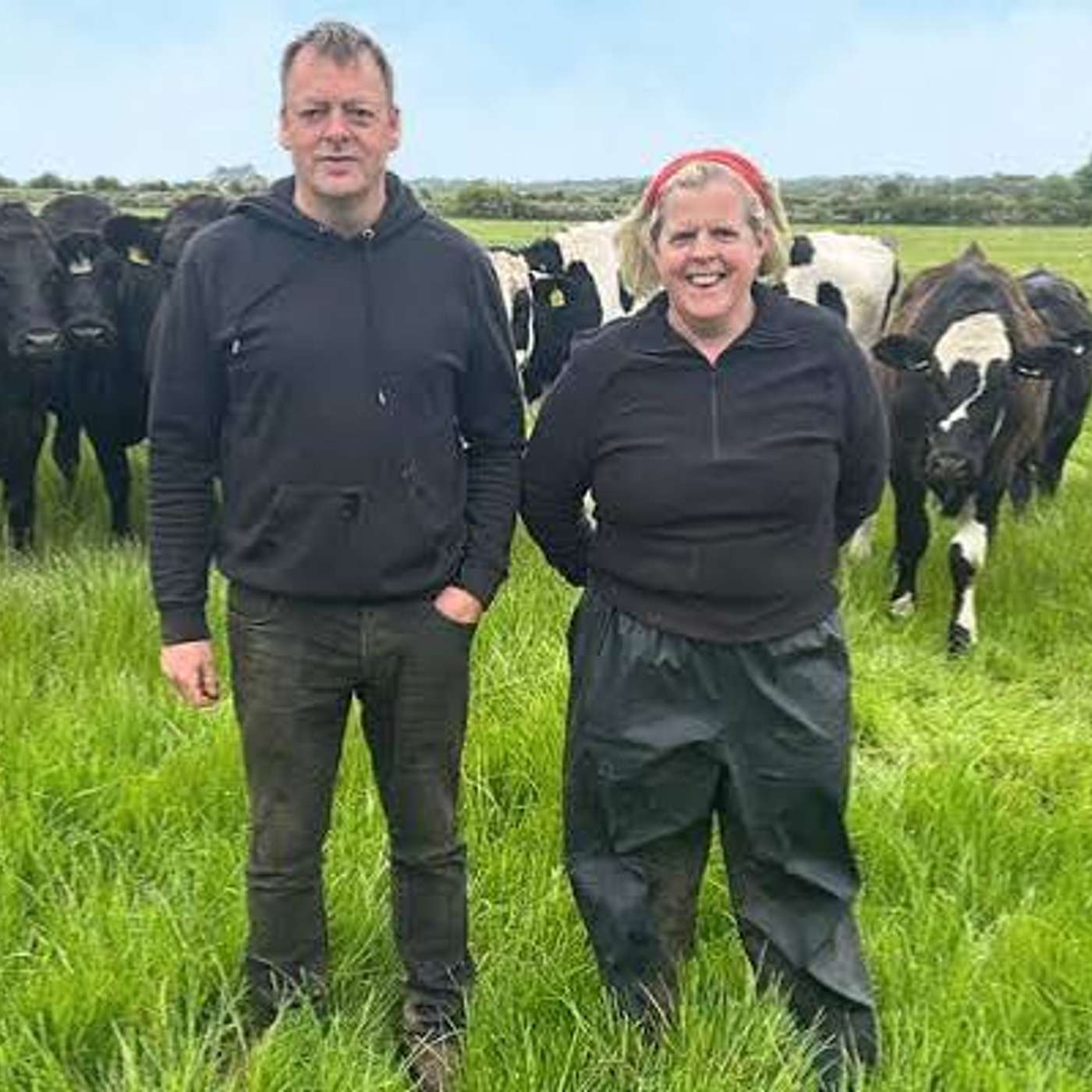 Keeping Dairy Beef Performance on Track This Summer episode artwork