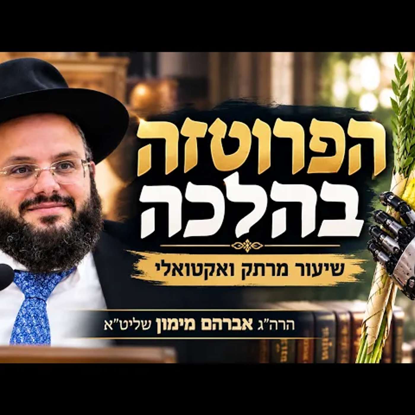 פרוטזה חשמלית בהלכה | האם יד תותבת נחשבת ליד? | הרה"ג אברהם מימון שליט"א | שערי ירושלים - גדרה episode artwork