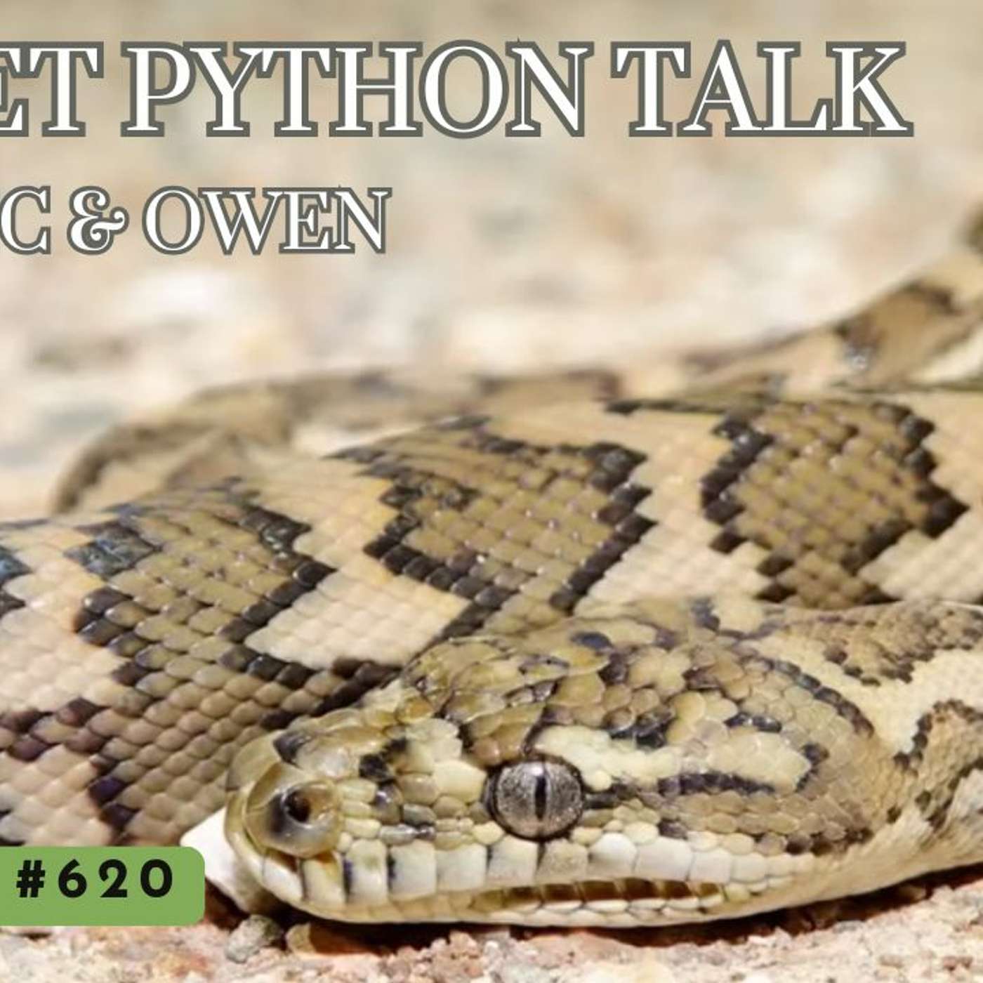 Carpet Python Talk w/ Eric & Owen episode artwork