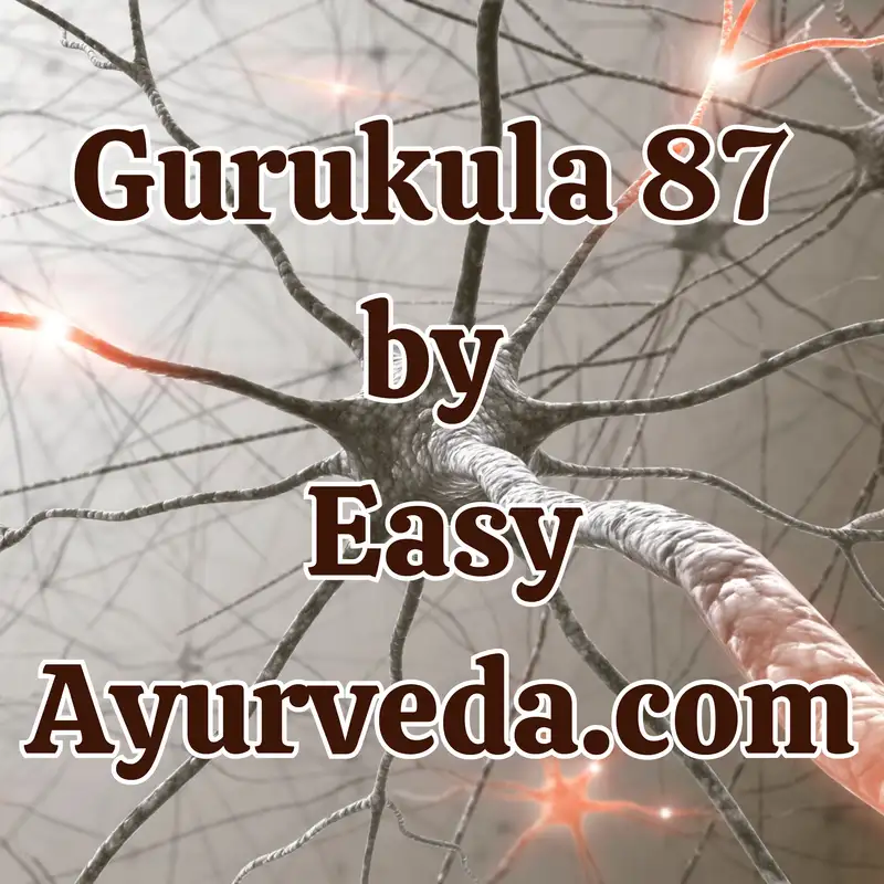Gurukula 87: Nervous System Anatomy through Ayurveda: A Structural and Functional flow - Part 1