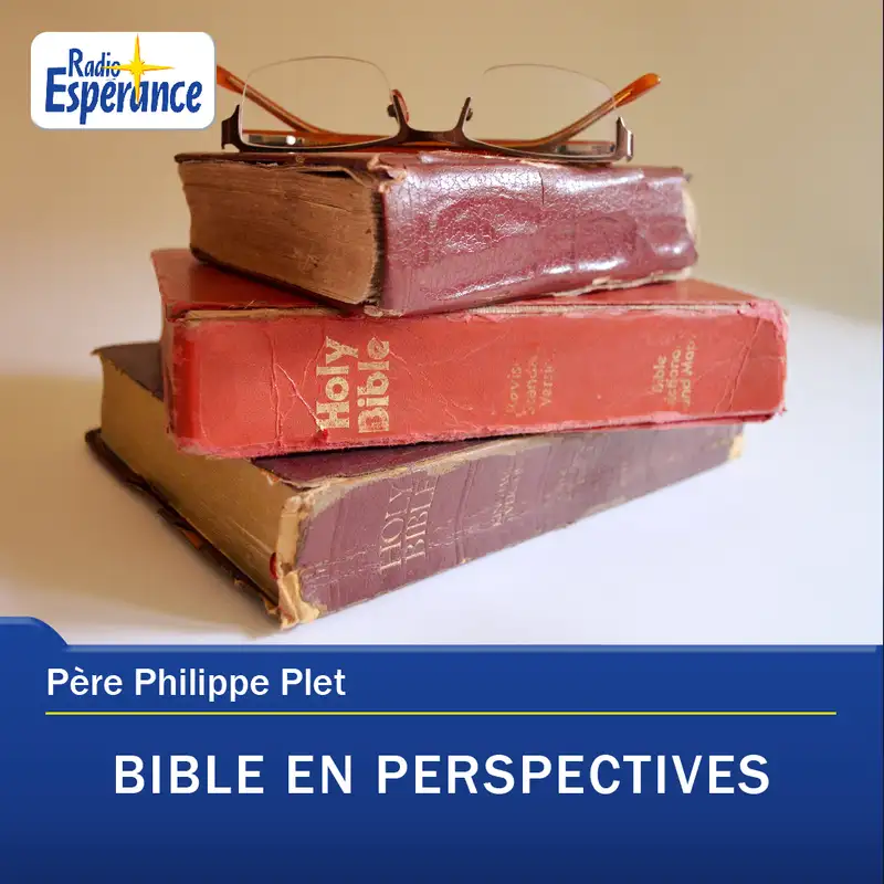 Bible en perspectives