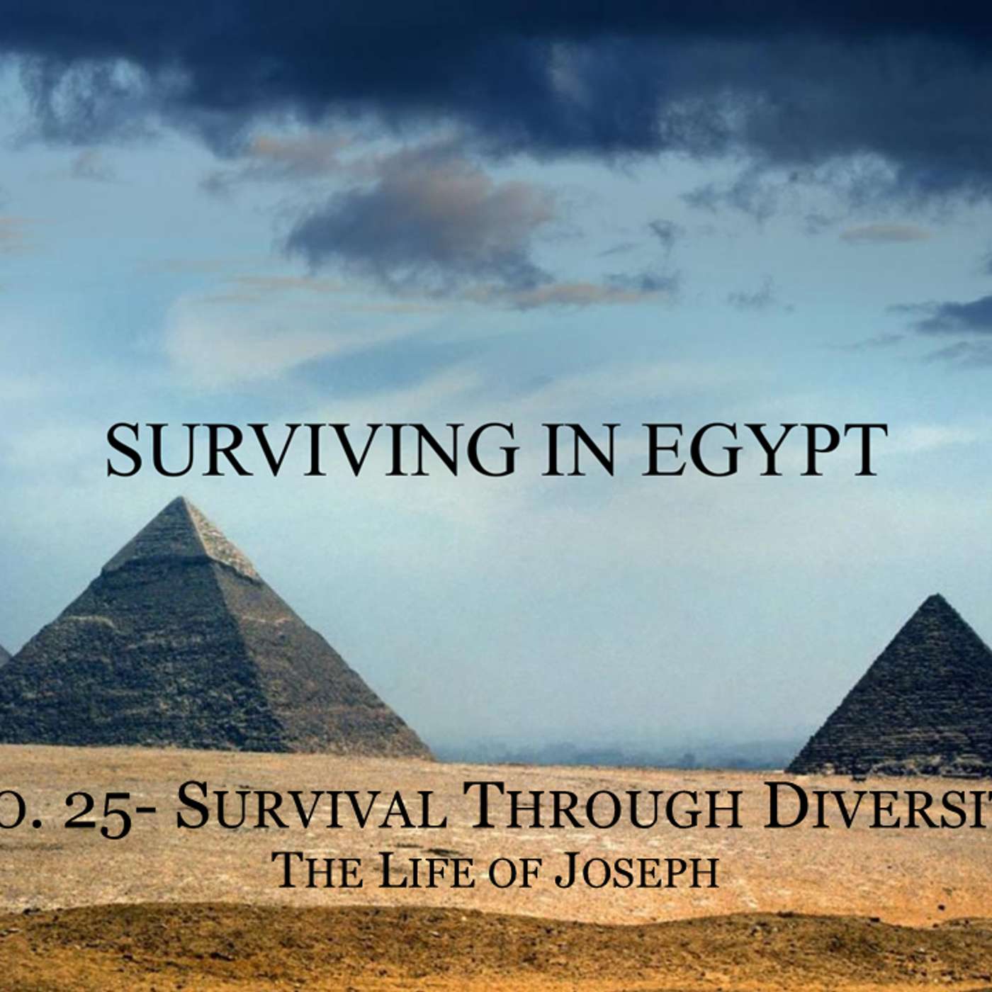 Surviving In Egypt (Life of Joseph) No.25- Survival Through Diversity