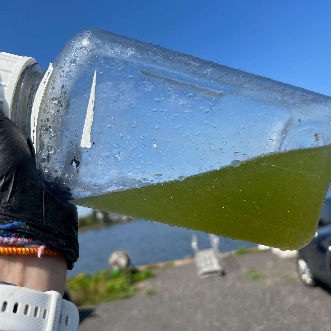 What to Know about the Northern Lakes Toxic Algae Bloom episode artwork