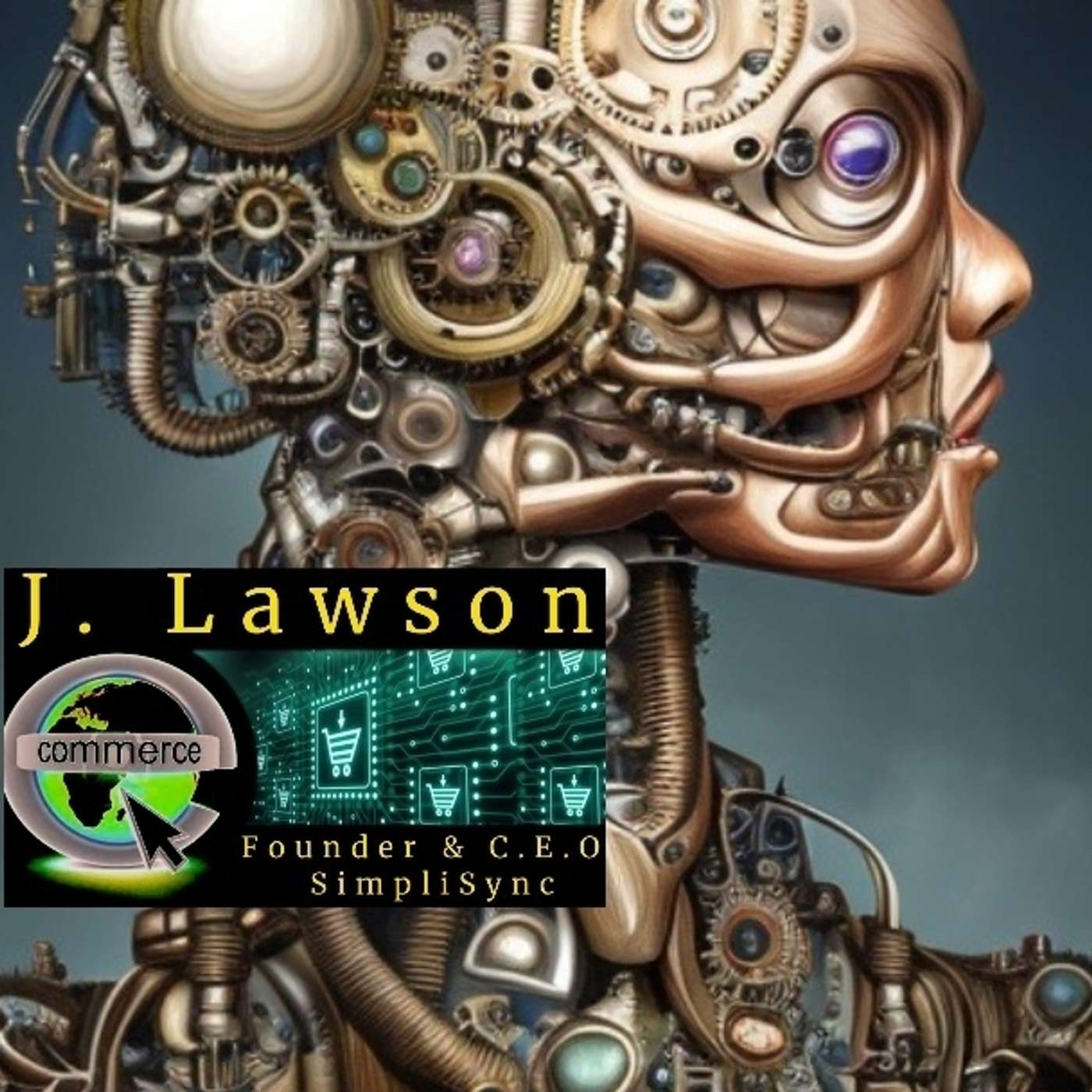 From IT Consultant to E-Commerce Trailblazer: The Mr. Lawson Story