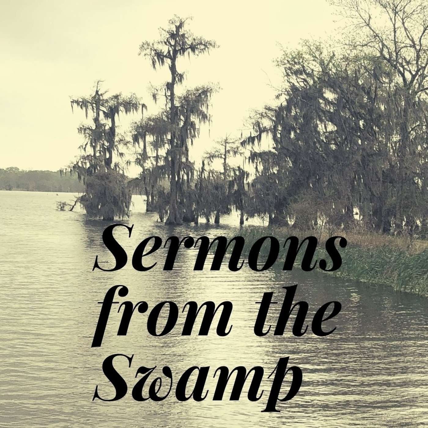 Sermons from the Swamp