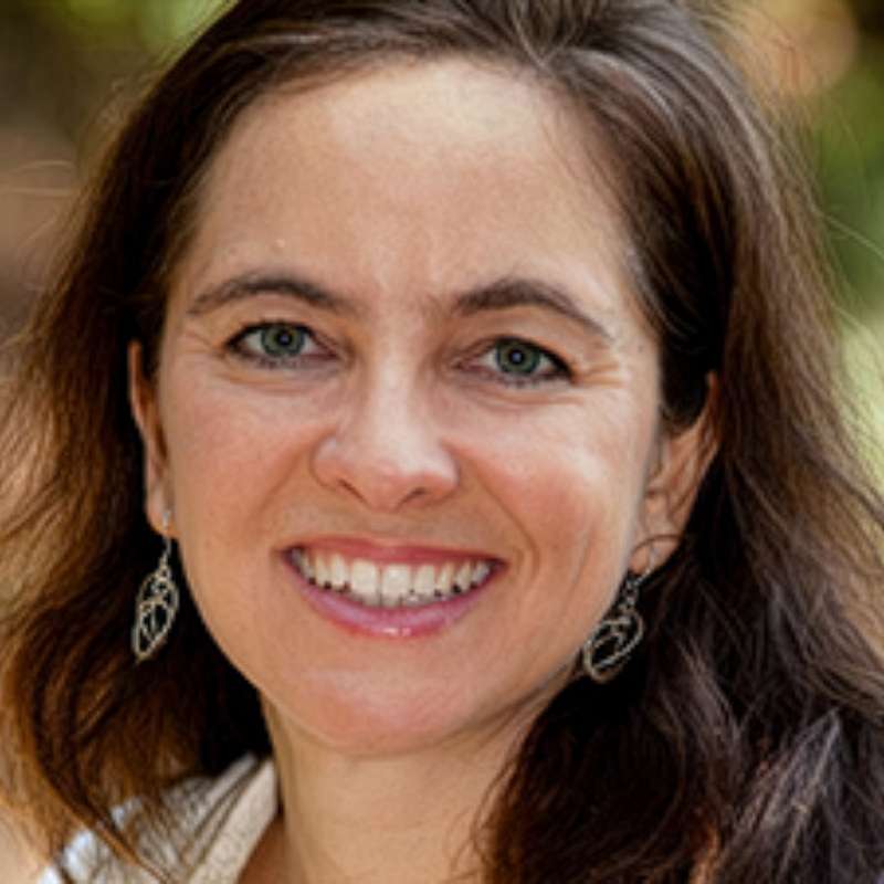 Professor Lucy Allais