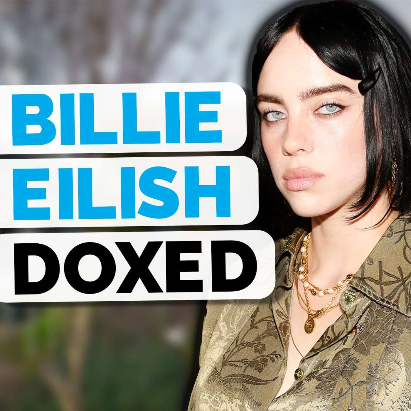 THIS APP Leaked Billie Eilish's Address - SR116