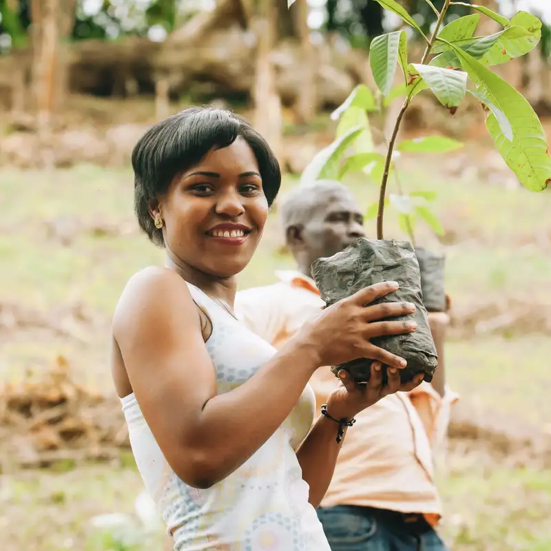 The accidental environmentalist