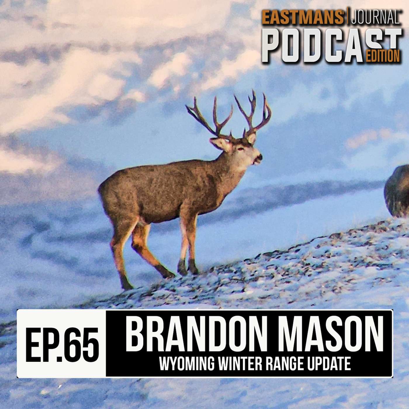 Winter Range Update - The Latest Wyoming Deer Numbers! episode artwork