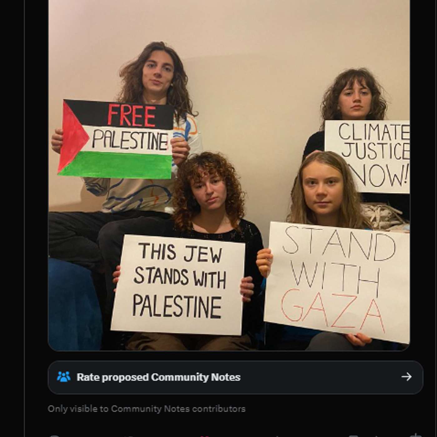 Israel Has Time to Bully Climate Activists With Autism, but Not to Answer for Their War Crimes!