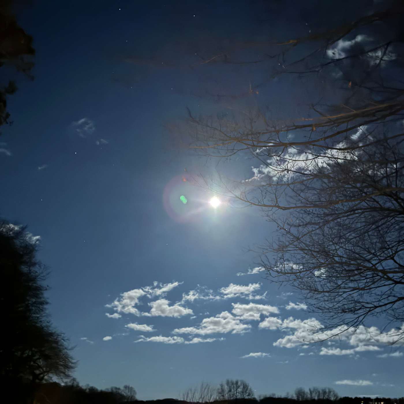 A Miniature World with Binnie Klein