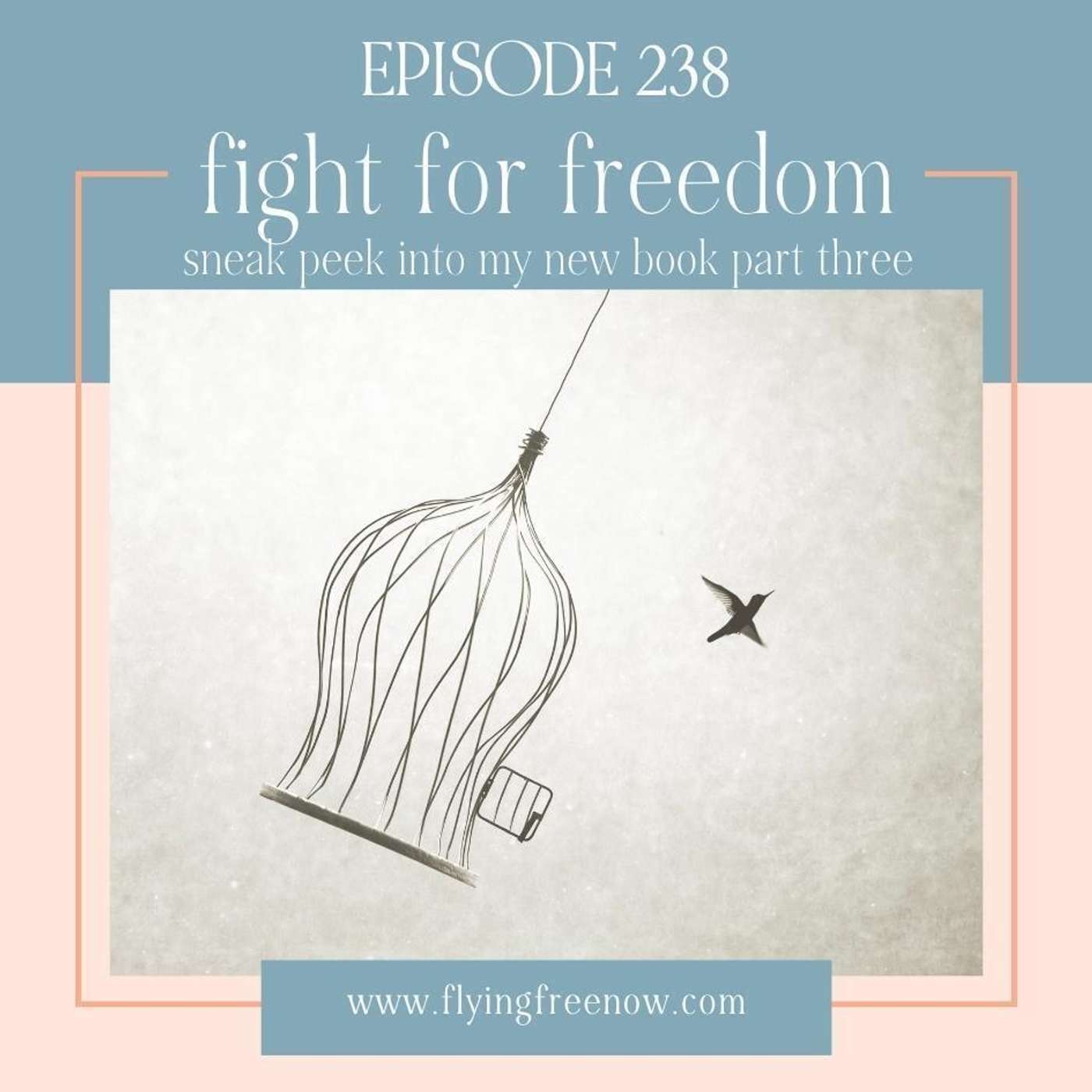 Fight for Freedom: Sneak Peek Into My New Book Part Three [238]