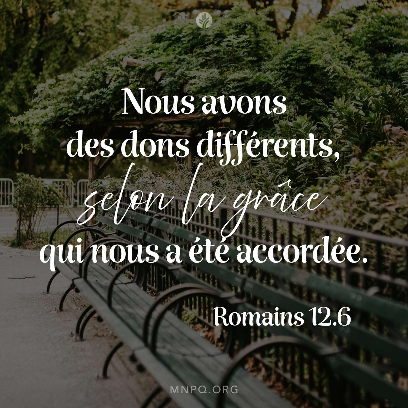 Le banc de l’amitié